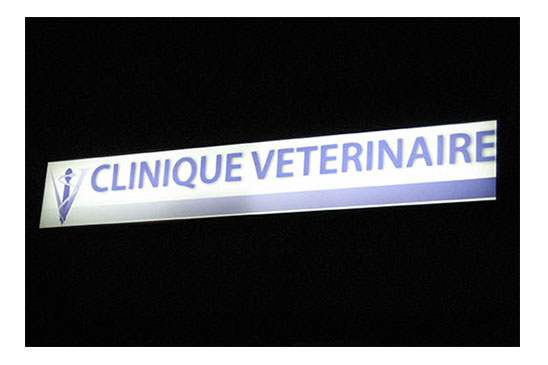 caisson lumineux veterinaire toulon, aix en provence, Marseille