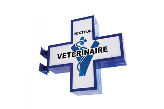 drapeau lumineux veterinaire toulon, aix en provence, Marseille