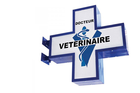 enseigne lumineuse veterinaire, croix veterinaire